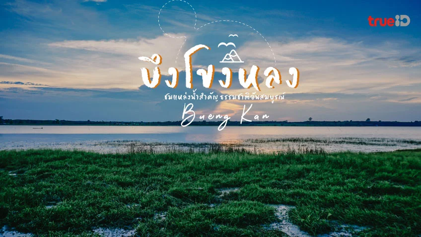 บึงโขงหลง ที่เที่ยวบึงกาฬ ดูนก ชมธรรมชาติ ใจกลางบึงกว้าง