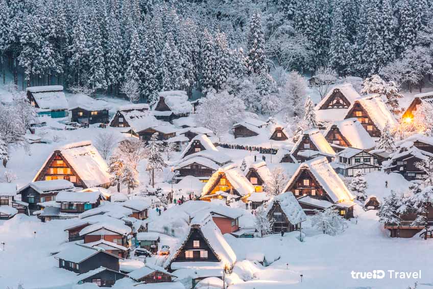 งานแสดงไฟญี่ปุ่นหน้าหนาว ชิราคาวาโกะ Shirakawago Light Up 2025