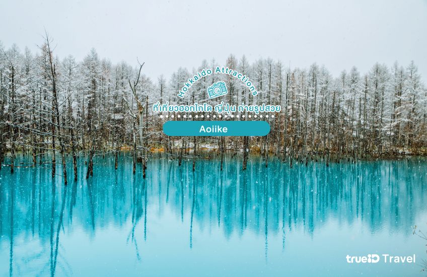 Aoiike ที่เที่ยวบิเอะ ฮอกไกโด ญี่ปุ่น
