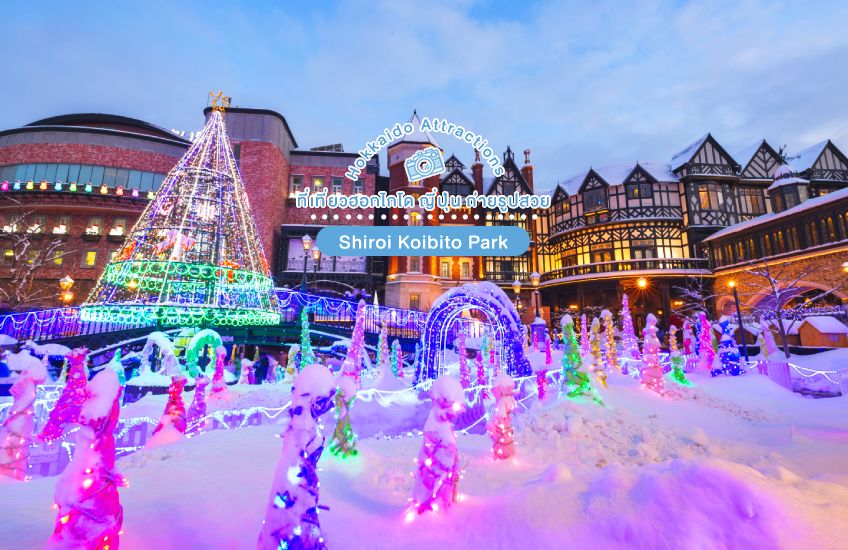 Shiroi Koibito Park ที่เที่ยวซัปโปโร ฮอกไกโด ญี่ปุ่น