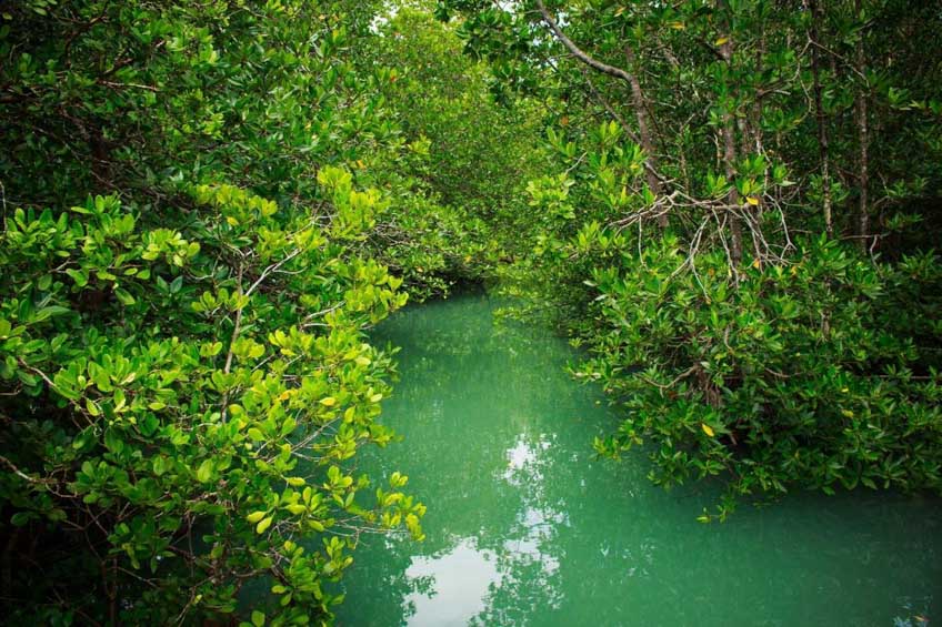 Phuket and Phang Nga Full-day Eco Adventure ภูเก็ต