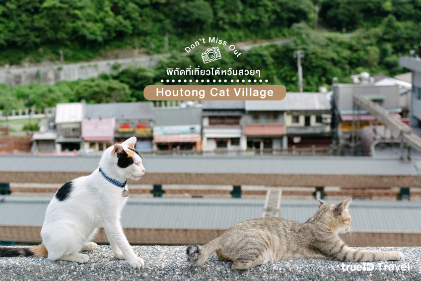 ที่เที่ยวไต้หวัน 2023 Houtong Cat Village