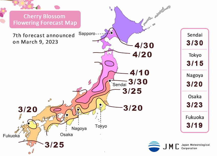 อัปเดต พยากรณ์ซากุระ ญี่ปุ่น ประจำปี 2023