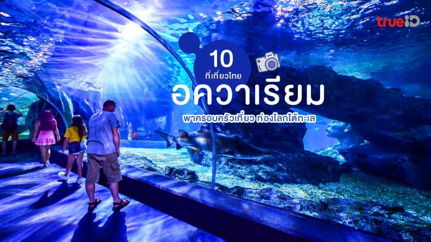 อควาเรียม ในไทย พิพิธภัณฑ์สัตว์น้ำ ที่เที่ยวครอบครัว