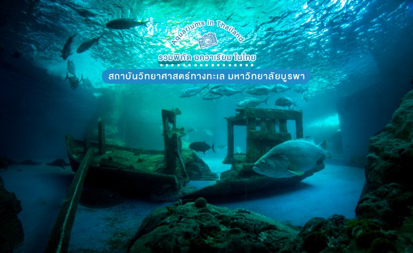 เที่ยวชลบุรี สถาบันวิทยาศาสตร์ทางทะเล มหาวิทยาลัยบูรพา