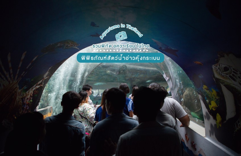 ที่เที่ยวจันทุบรี พิพิธภัณฑ์สัตว์น้ำอ่าวคุ้งกระเบน