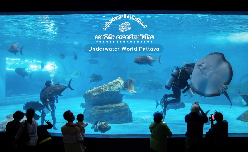 Underwater World Pattaya ที่เที่ยวพัทยา