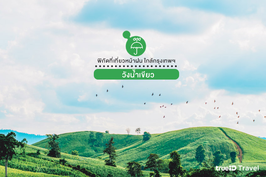 ที่เที่ยวใกล้กรุงเทพ หน้าฝน 2568 วังน้ำเขียว นครราชสีมา