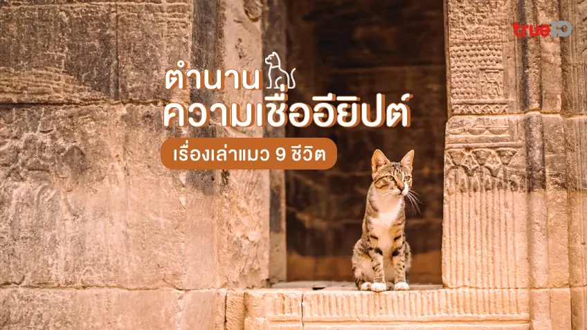 ตำนานเทพเจ้าแมว บาสท์ (Bastet) เทวีแห่งความรัก และความอุดมสมบูรณ์แห่งอียิปต์