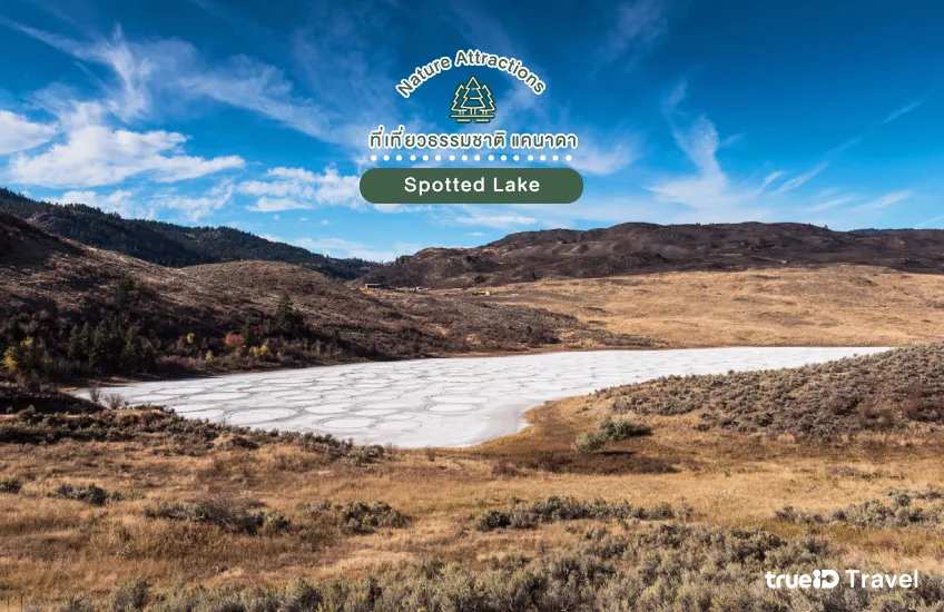 ทะเลสาบลายจุด Spotted Lake ที่เที่ยวแคนาดา