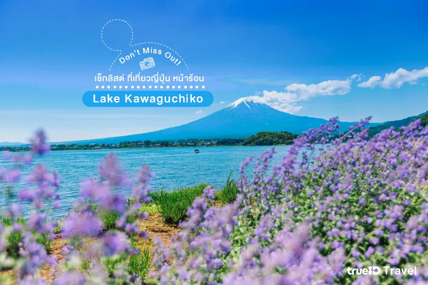 ทะเลสาบคาวากุจิโกะ เที่ยวญี่ปุ่นหน้าร้อน 2023