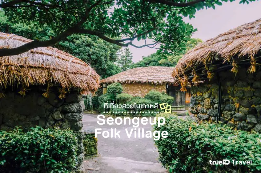 Seongeup Folk Village, travel to Jeju Island, Korea