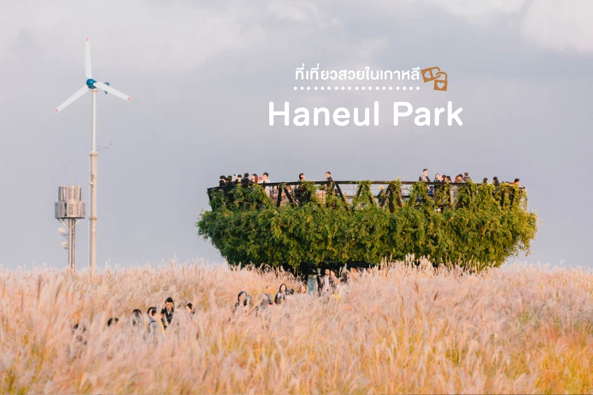 Haneul Park, travel destination in Korea