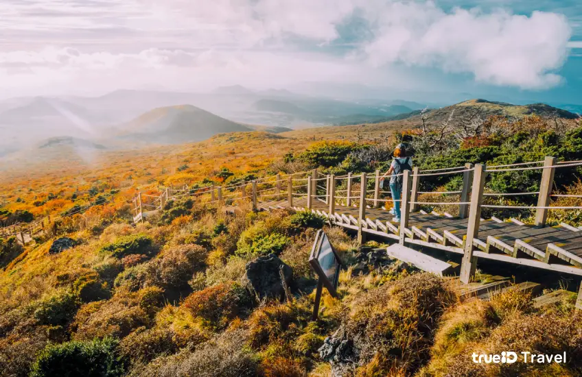 Hallasan National Park, travel to Jeju Island, Korea