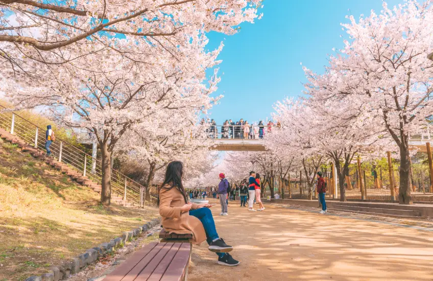 Seoul Forest Park, travel in Seoul, Korea