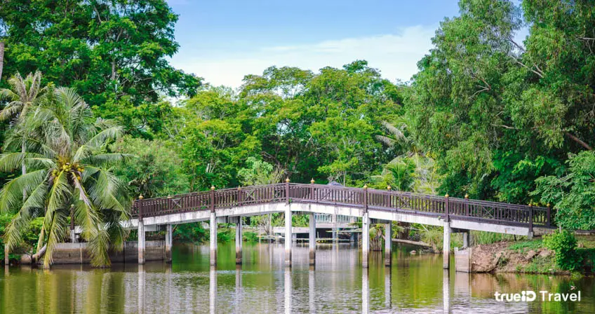 ที่เที่ยวสมุทรปราการ บางกระเจ้า ที่เที่ยวธรรมชาติใกล้กรุงเทพ