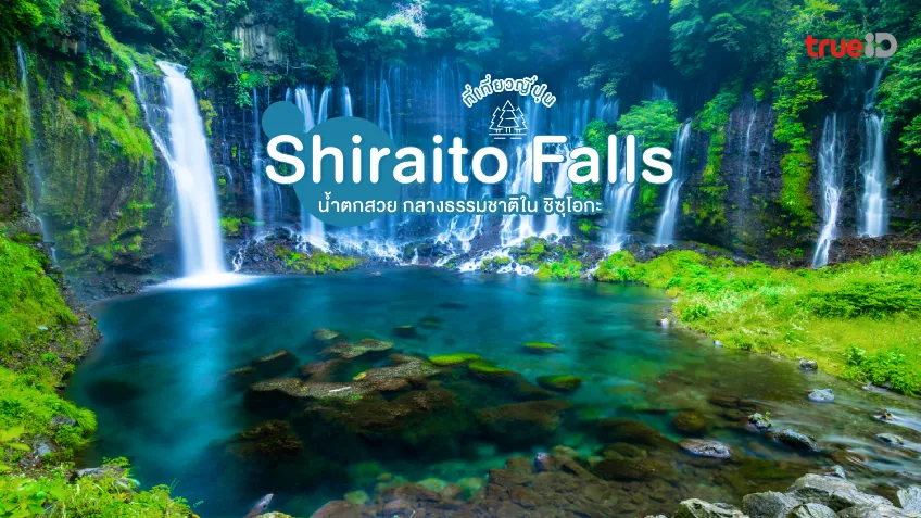 Shiraito Falls ที่เที่ยวญี่ปุ่น น้ำตกสวย กลางธรรมชาติใน ชิซุโอกะ