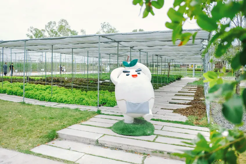 ที่เที่ยวไปเช้าเย็นกลับ CORO Field สวนผึ้ง ราชบุรี