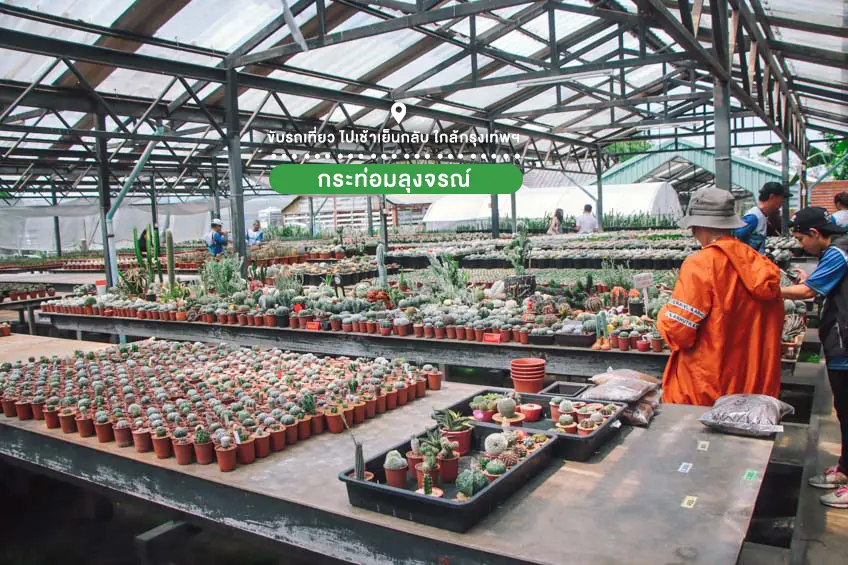 ขับรถเที่ยวใกล้กรุงเทพ กระท่อมลุงจรณ์ กระบอกเพชร ปทุมธานี