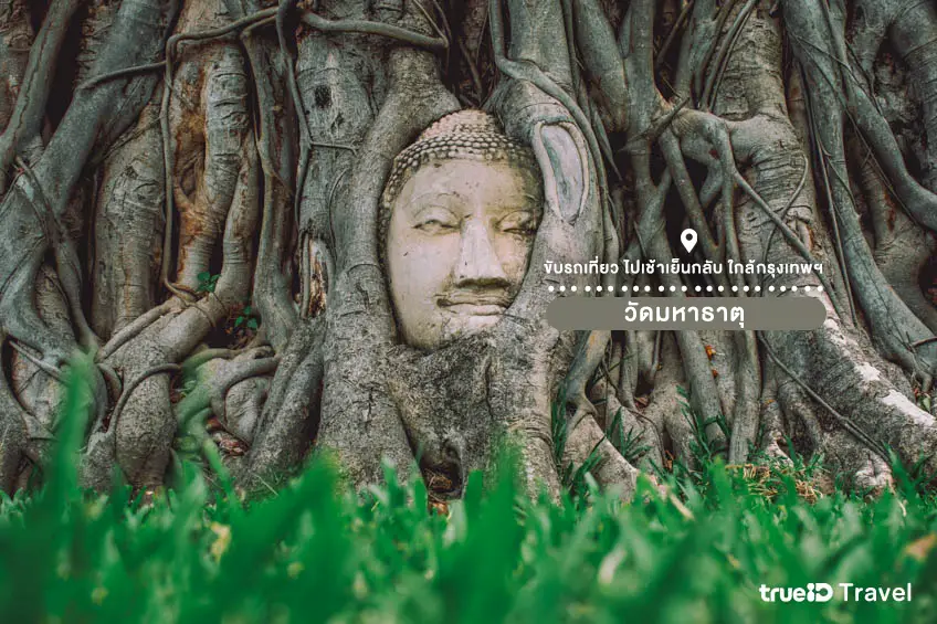 วัดมหาธาตุ อยุธยา เที่ยวใกล้กรุงเทพ One Day Trip