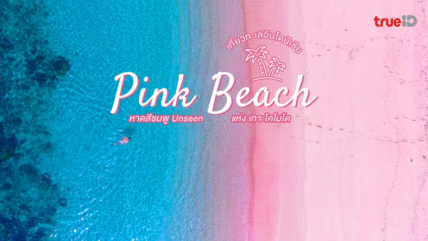 Pink Beach ที่เที่ยวอินโดนีเซีย หาดสีชมพู Unseen แห่ง เกาะโคโมโด