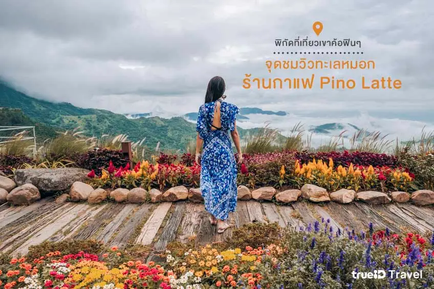 จุดชมวิวทะเลหมอก ร้านกาแฟ Pino Latte คาเฟ่เขาค้อ