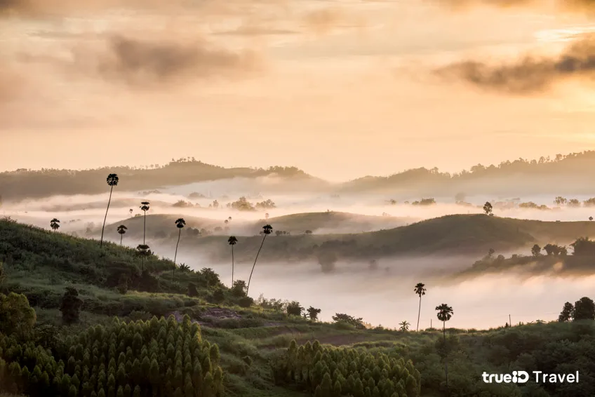 ที่เที่ยวเขาค้อ จุดชมวิวทะเลหมอก เขาค้อ วัดกองเนียม