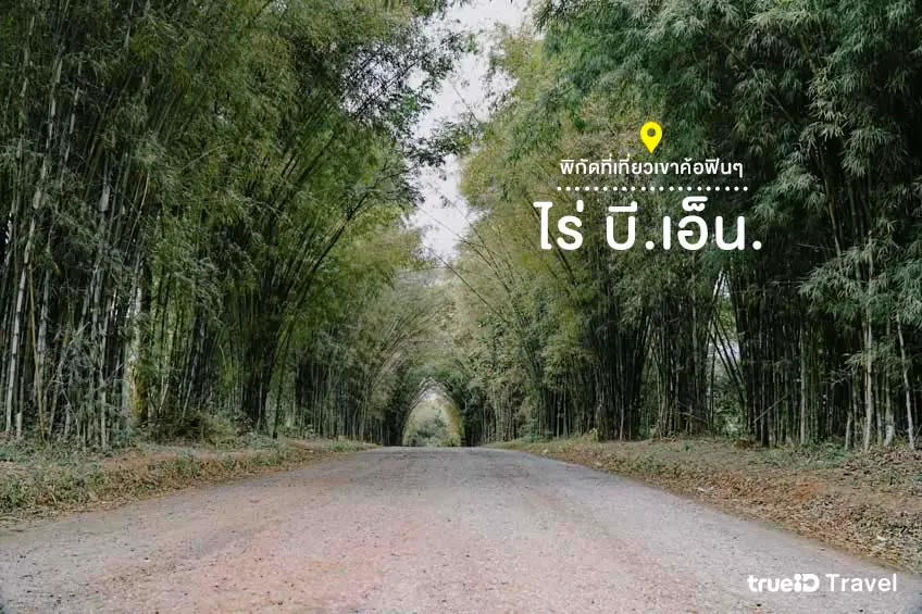 ที่เที่ยวเขาค้อ เพชรบูรณ์ ไร่ บี.เอ็น. เขาค้อ