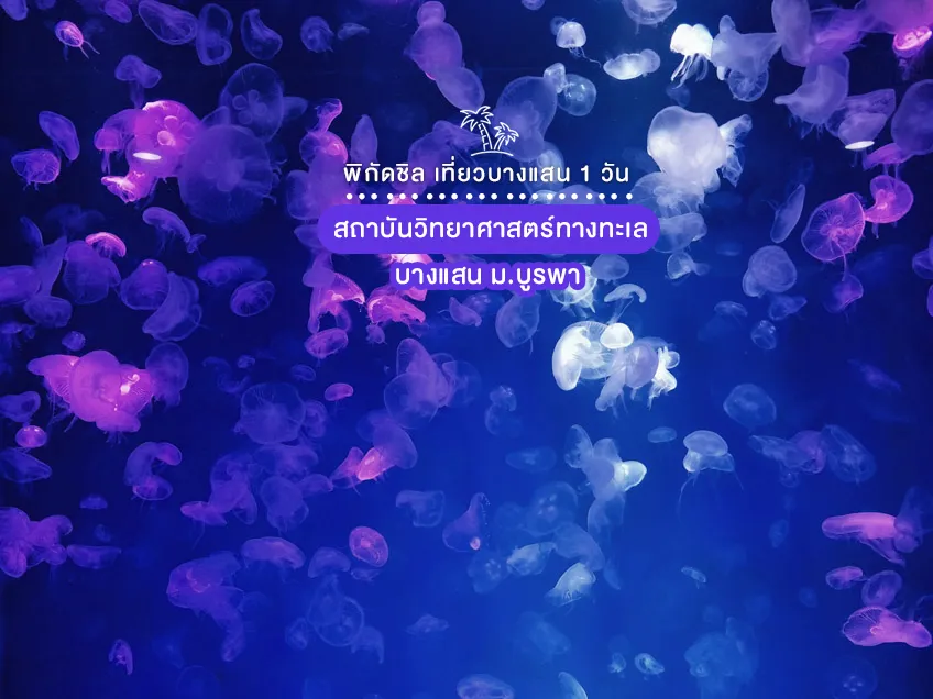 สถาบันวิทยาศาสตร์ทางทะเล บางแสน ม.บูรพา เที่ยวบางแสน 1 วัน