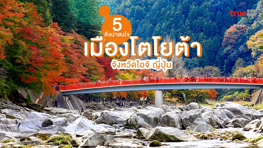 愛知県豊田市の面白いところ5選。 この街にあるのは車だけではありません。