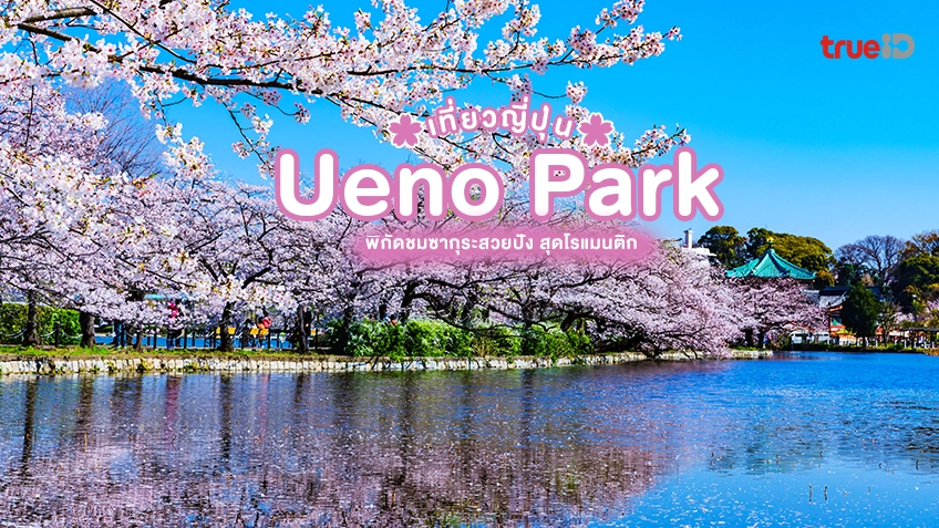 สวนอุเอโนะ Ueno Park ที่เที่ยวญี่ปุ่น พิกัดสวย ไฮไลท์สุดปัง ของ โตเกียว