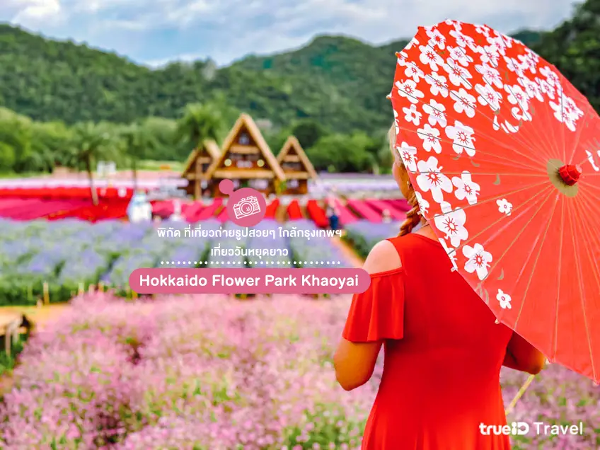 ที่เที่ยวถ่ายรูปสวยๆ ใกล้กรุงเทพ Hokkaido Flower Park เขาใหญ่