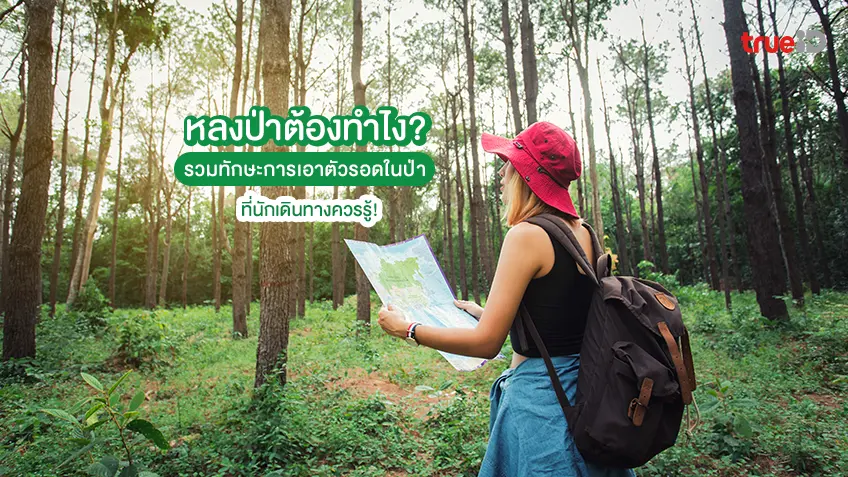 หลงป่าต้องทำไง? รวมทักษะการเอาตัวรอดในป่า ที่นักเดินทางควรรู้