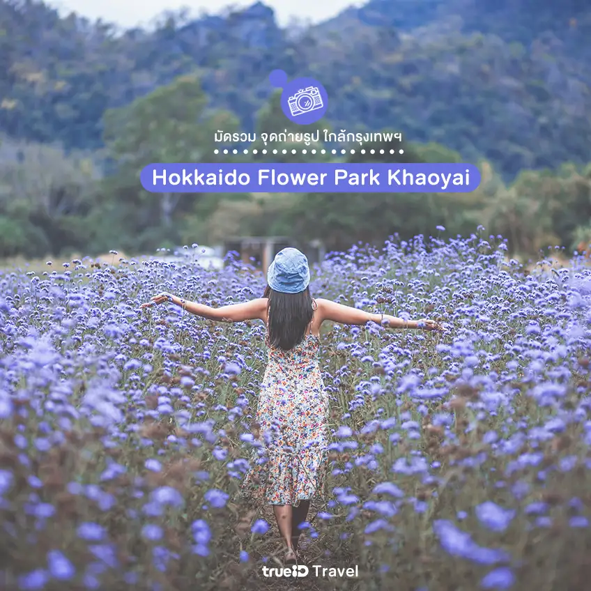 ไปเช้าเย็นกลับ Hokkaido Flower Park เขาใหญ่