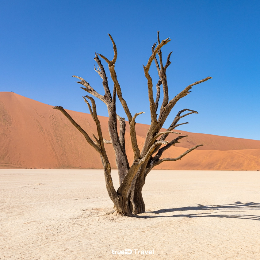 Sossusvlei Namibia