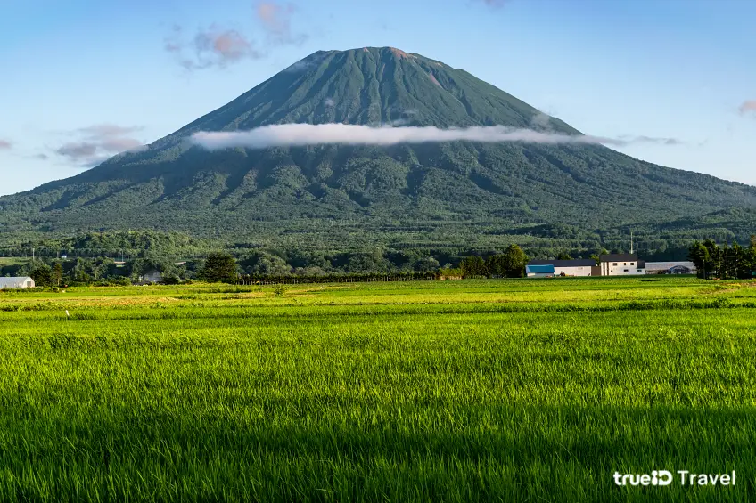 ภูเขาโยเทย์ (Mount Yotei)