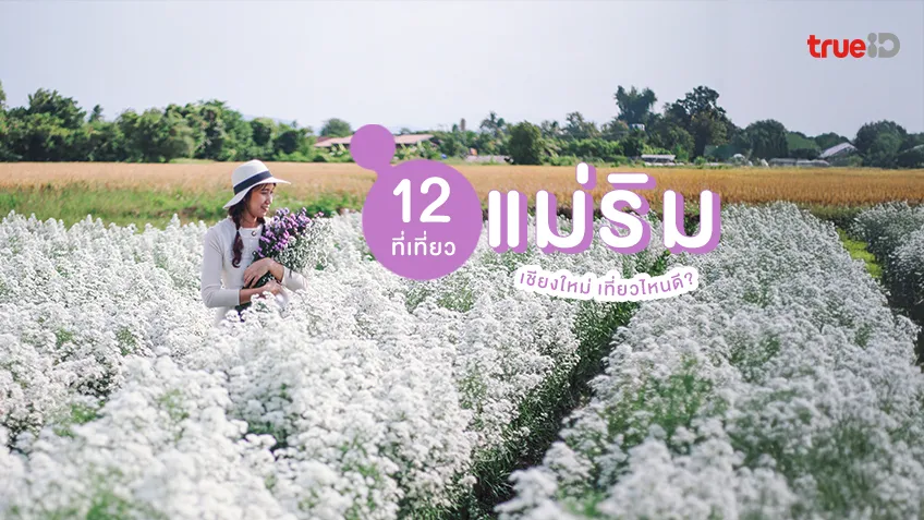 12 ที่เที่ยวแม่ริม เชียงใหม่ ธรรมชาติ นอกจากม่อนแจ่ม ไปเที่ยวไหนดี