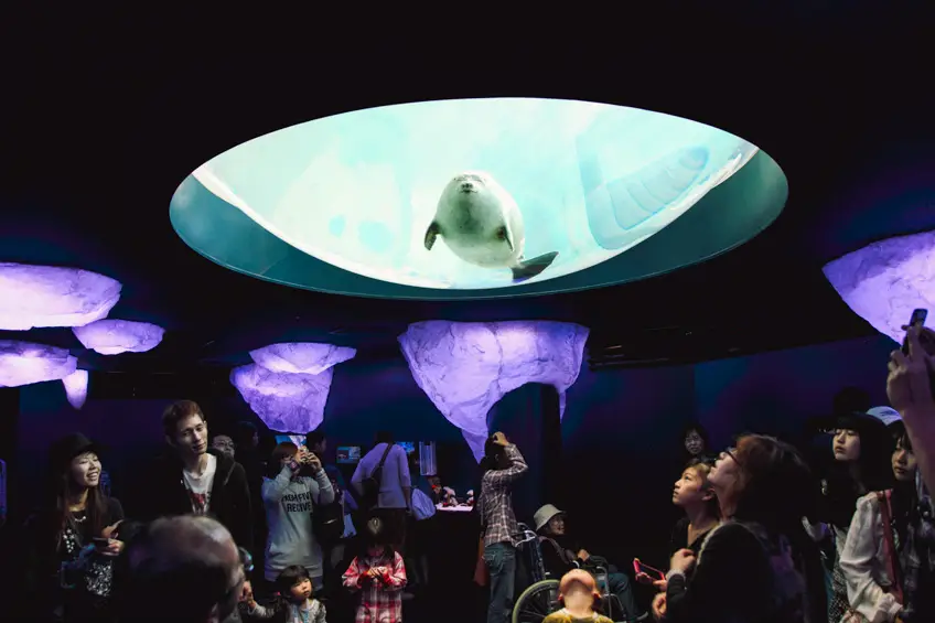 เที่ยวโอซาก้า อวาเรียม ญี่ปุ่น