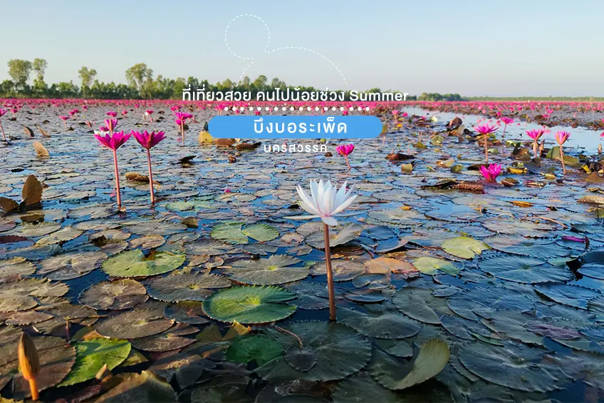 บึงบอระเพ็ด นครสวรรค์