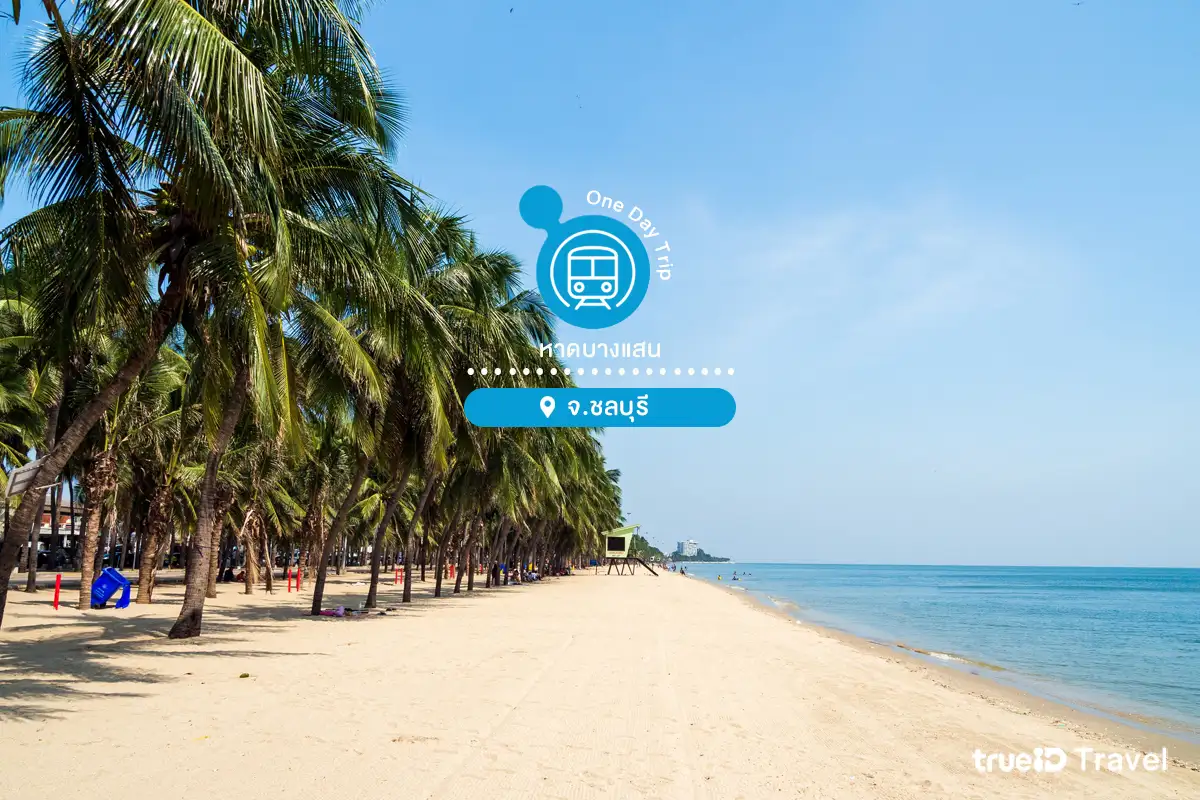 ที่เที่ยวใกล้กรุงเทพ ไปเช้าเย็นกลับ หาดบางแสน ชลบุรี