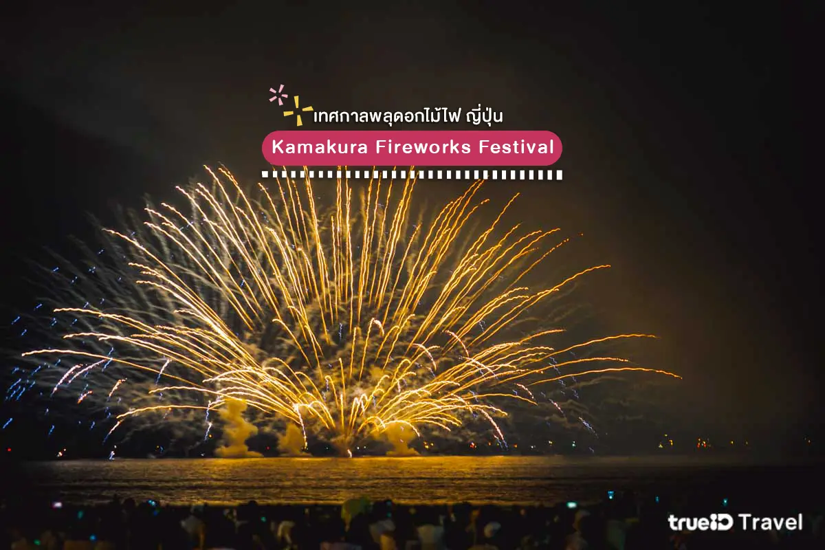 คามาคุระ เทศกาลพลุ ดอกไม้ไฟ ญี่ปุ่น 2025 Kamakura Fireworks Festival