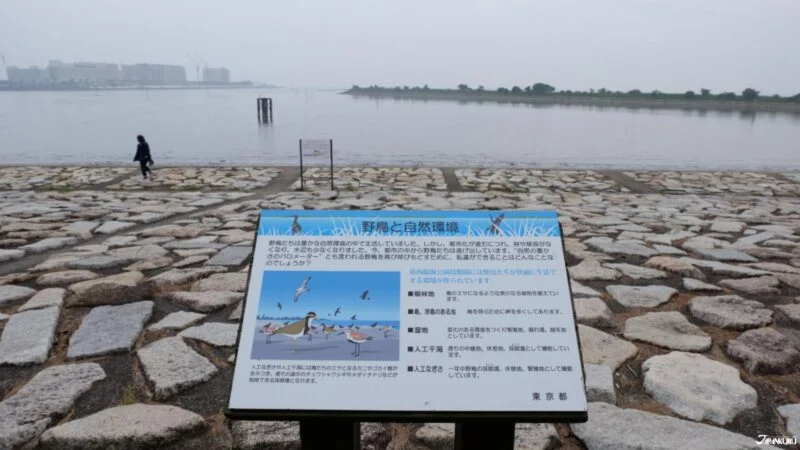 สวนสาธารณะริมทะเลคะไซ Kasai Marine Park (葛西海浜公園)