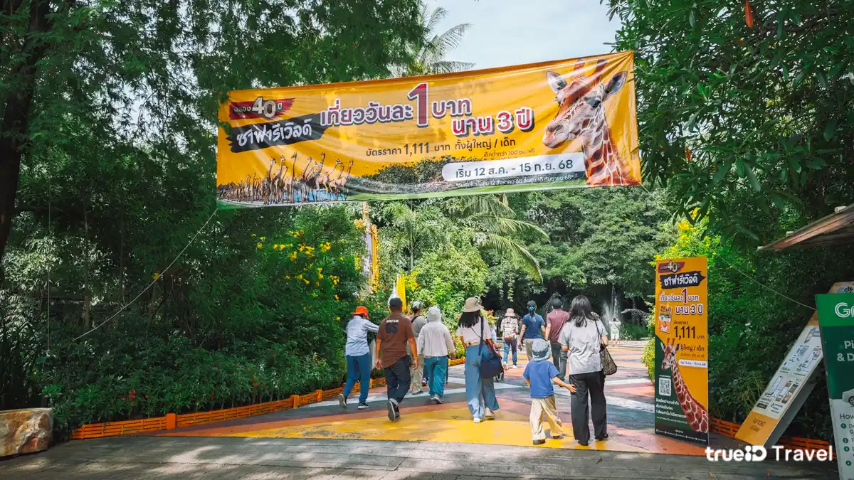 บัตรรายปี ซาฟารีเวิลด์ บัตรสมาชิก Safari World