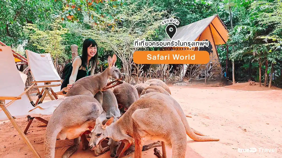 ที่เที่ยวครอบครัวในกรุงเทพ Safari World สวนสัตว์