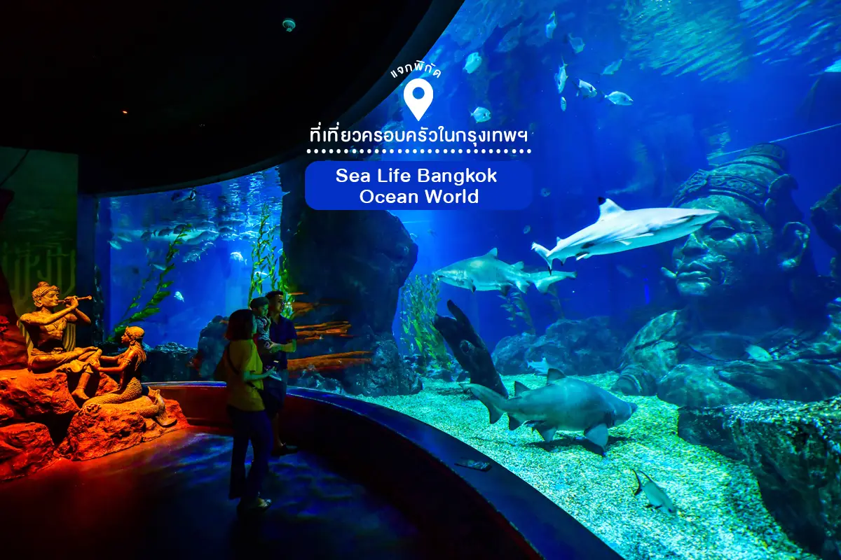 ที่เที่ยวครอบครัวในกรุงเทพ Sea Life Bangkok Ocean World