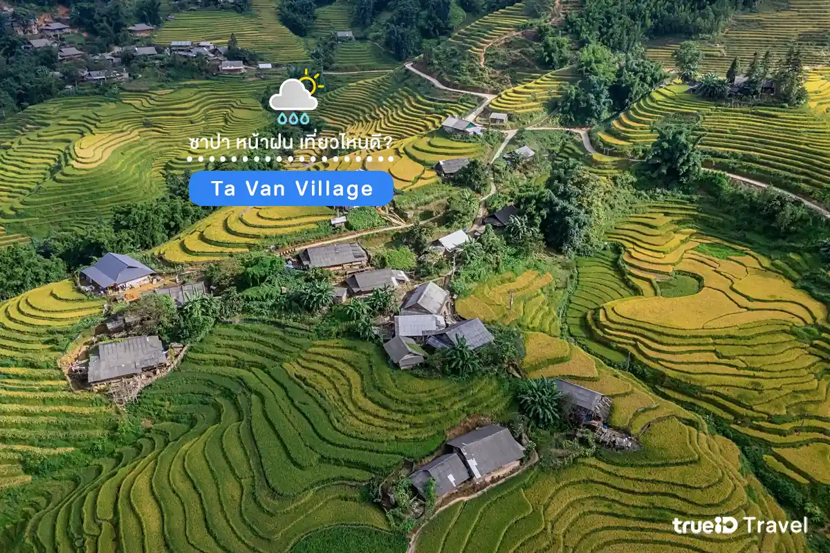 ที่เที่ยวซาปา 3 วัน 2 คืน หน้าฝน Ta Van Village 