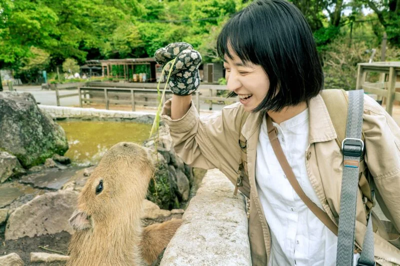 Izu Shaboten Zoo (สวนสัตว์อิซุชาโบเท็น)