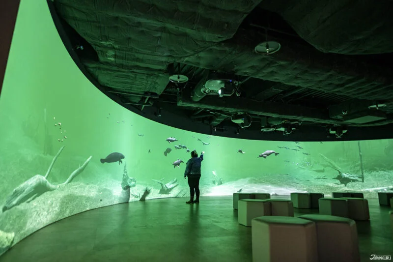 พิกัดสวนสัตว์และคาเฟ่คาปิบาร่าในญี่ปุ่น Kawasui Kawasaki Aquarium (คาวาซุย คาวาซากิ อะควาเรียม)