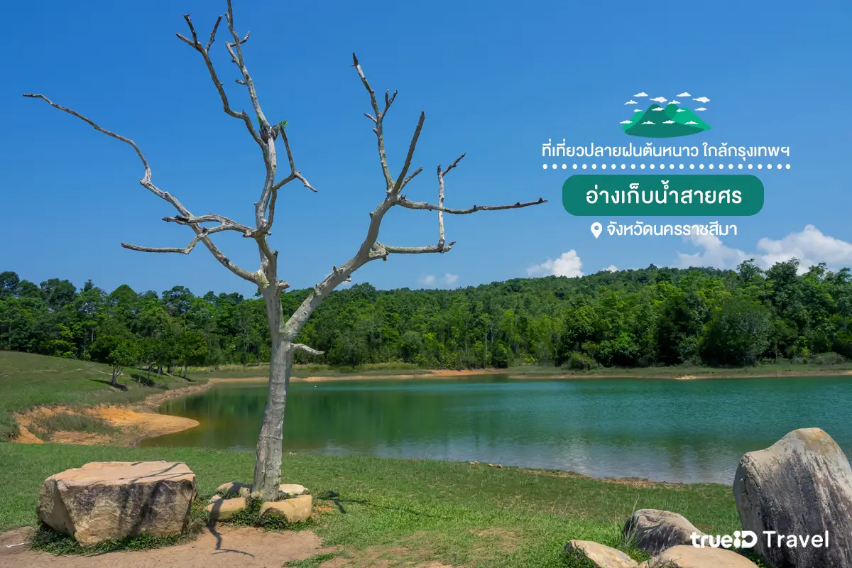 อ่างเก็บน้ำสายศร เขาใหญ่ ที่เที่ยวปลายฝนต้นหนาว