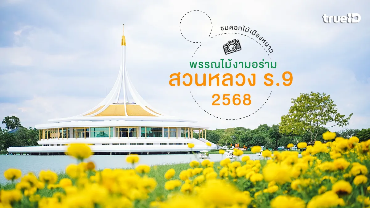 สวนหลวง ร.9 งานพรรณไม้งามอร่าม 2568 ดอกไม้เมืองหนาวสวยๆ ในกรุงเทพ